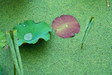 雷蛇游戏本升级配置：全系预装WIN11 采用DDR5内存