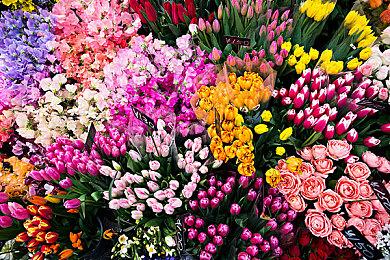 《Shinobi 反攻的斩击》新预告 忍者战斗风格全展示